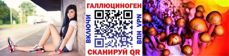 omg маркетплейс  Курск  Псилоцибиновые грибы Magic Shrooms 